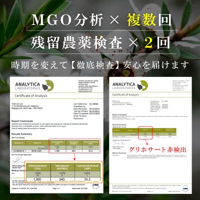 【毎月定期便】ストロングマヌカハニー【MGO860+】500g×2個　全3回