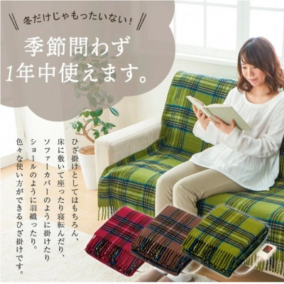 【160×120cm】色々使える!ワイドサイズ暖か電気ひざ掛けワイン　SB-20HW01-WI