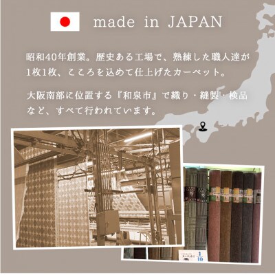 【江戸間6畳】お肌にやさしい天然キトサン配合の抗菌・防臭カーペット(BO-50-6畳IV)