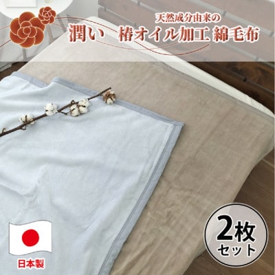 【2枚組】椿オイル加工 ふんわり綿毛布 シングルサイズ(140×200cm)CNM-101-2P