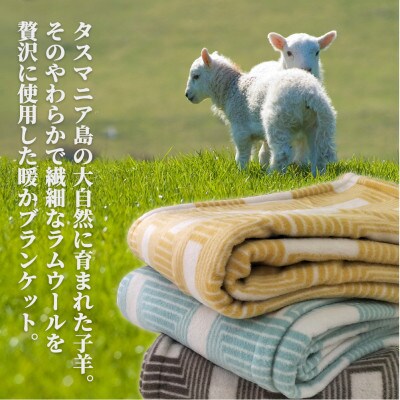 【クィーンサイズ】洗えるタスマニアラムウール混毛布 200×200cm イエロー OTW-Q
