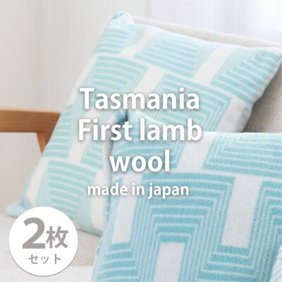 【2枚組】洗えるタスマニアラムウール混クッションカバー 45×45cm GR OTW-4545-2P