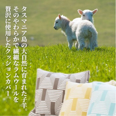 【2枚組】洗えるタスマニアラムウール混クッションカバー 45×45cm BR OTW-4545-2P