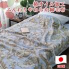 椿オイル加工 ふんわり綿毛布 シングルサイズ(140×200cm)ブルー CNM-300ーBL