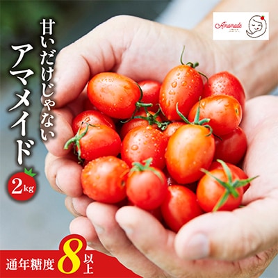 【2kg】ミニトマト 糖度8以上 アマメイド 　リピーター続出の人気野菜