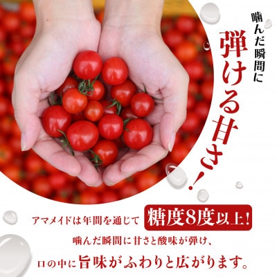 【3kg】ミニトマト 糖度8以上 アマメイド 　リピーター続出の人気野菜