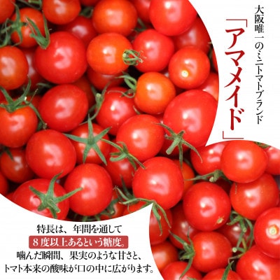 3kg】ミニトマト 糖度8以上 アマメイド リピーター続出の人気 3kg】ミニトマト 糖度8以上 アマメイド リピーター続出の人気