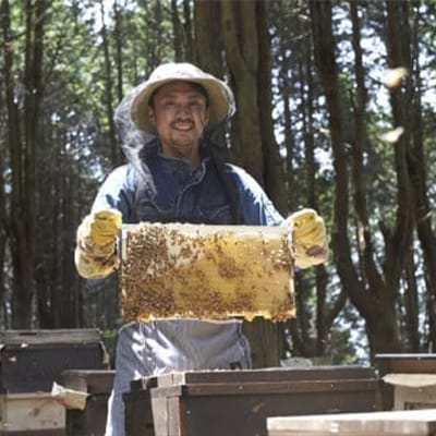 【1種】 いずみつアカシア 440g