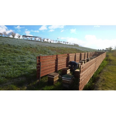 和泉市産純粋はちみつ いずみつ 140g