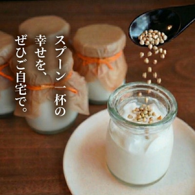 【冷凍便】こだわり素材のそば茶みるくプリン　4個入　玄そば　蕎麦の実付　手打ちそばかけはし
