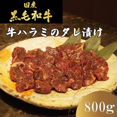 【冷凍】自家製もみダレで漬けたタレ漬け王道!牛ハラミ(さがり)800g(400g×2)　焼肉ほうせん