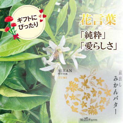 OSAKA PRIDE PRODUCTS2025選定!みかん・れもんスプレッド詰合ー各190g×3個