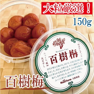 【希少な大玉】和泉市産 百樹梅150g×4パック　大粒厳選 豊かな香りと肉厚な果肉[なやファーム]