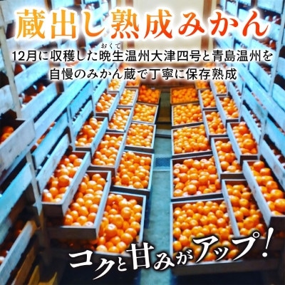 蔵出し熟成和泉みかん扁平大玉LL-3Lサイズ10kg