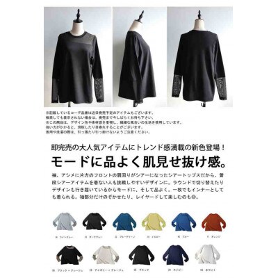 ふるさと納税 和泉市 【ANTIQUA/アンティカ】シアー切り替え トップス (PN-00545-03-Regular) ANTIQUA/アンティカ】シアー切り替え トップス (PN-00545-03