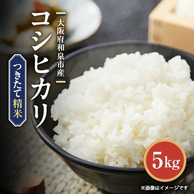 大阪府和泉市の農家さんが心を込めて作ったコシヒカリ　一袋5kg。道の駅で精米してお届けします。