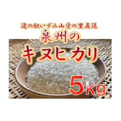 大阪府和泉市の農家さんが心を込めて作ったキヌヒカリ　一袋5kg。道の駅で大好評。