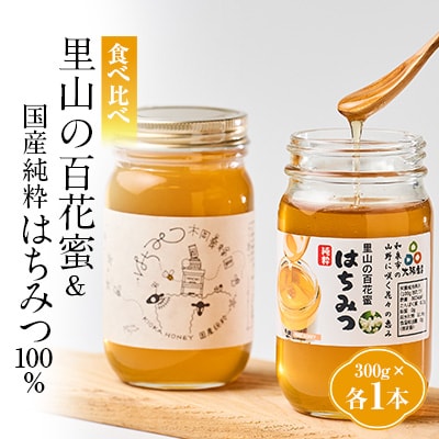 道の駅で大人気のハチミツ(300g×2本)