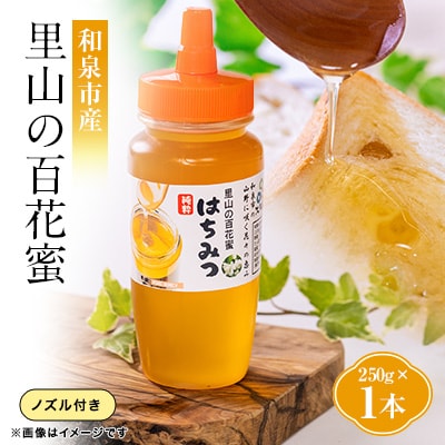 道の駅で大人気のハチミツ(250gノズル付きボトル　1本)