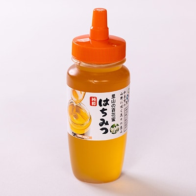 道の駅で大人気のハチミツ(250gノズル付きボトル　3本)