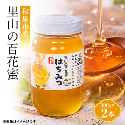 道の駅で大人気のハチミツ(300g瓶詰×2本)