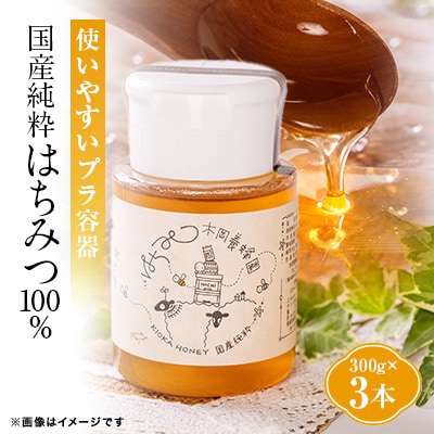 道の駅で大人気のハチミツ(使い勝手の良いプラ容器300g×3本)
