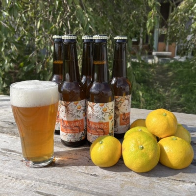 大阪府和泉市産みかんを使用したクラフトビール 330ml 6本セット