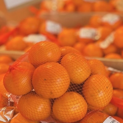 和泉のめぐみ・山愛みかん(M～2Lの混合・約5kg)