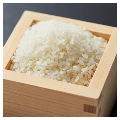 大阪府和泉市の農家さんが心を込めて作ったお米　1袋5kg　【単一品種】