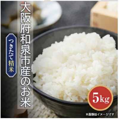 【発送月固定定期便】大阪府和泉市の農家さんが心を込めて作ったお米　1袋5kg　【単一品種】全3回