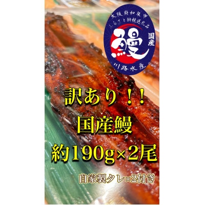 〈訳があってもよろしいでしょうか?〉訳あり国産うなぎ蒲焼き×2尾