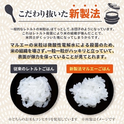 【毎月定期便】パックごはん 3個入り(1個200g)×12セット36食入コシヒカリ(特)　全5回