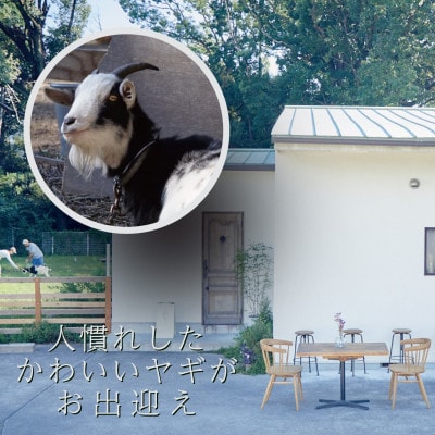 大阪・和泉市のヤギがいる隠れ家カフェ【FILNE】 特製ランチ&極上スイーツお食事券5000円分