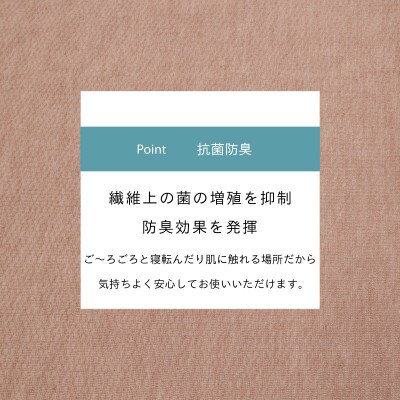 カーペット 日本製 抗菌防臭 軽量薄手 ジェミニ 261×261cm 江戸間 4.5畳用 ベージュ