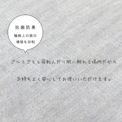 カーペット 日本製 抗菌防臭 犬 猫 ペット対応 ビオラ 176×261cm 江戸間 3畳用 グレー