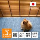 カーペット 日本製 抗菌防臭 犬 猫 ペット対応 ビオラ 176×261cm 江戸間 3畳用 ブルー