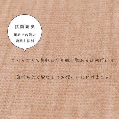 カーペット 日本製 抗菌防臭 犬 猫 ペット対応 ビオラ 176×261cm 江戸間 3畳 ベージュ