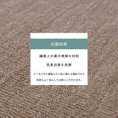 カーペット 江戸間 6畳 防音 抗菌防臭 厚手 ツワブキ 261×352cm グレージュ 日本製