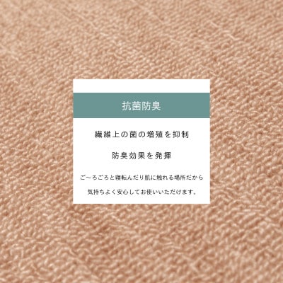 カーペット 江戸間 3畳 防音 抗菌防臭 厚手 ツワブキ 176×261cm ベージュ 日本製