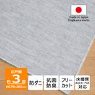 防ダニ カーペット 3畳 日本製 抗菌防臭 ノースポール 江戸間 176×261cm グレー