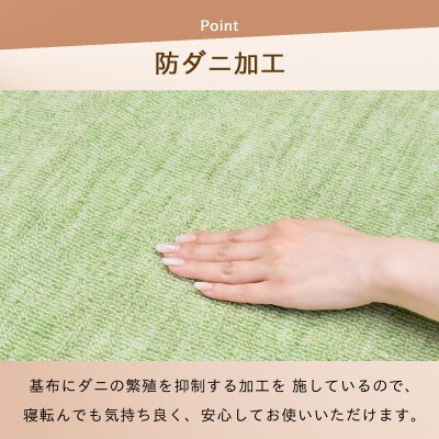防ダニ カーペット 3畳 日本製 抗菌防臭 ノースポール 江戸間 176×261cm グリーン