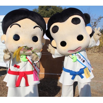 第74回信太山クロスカントリー大会in大阪和泉　20kmコース出走権1名様分