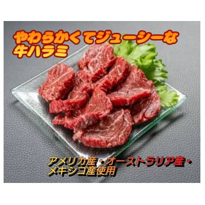 タレ漬けハラミ 250g×4袋