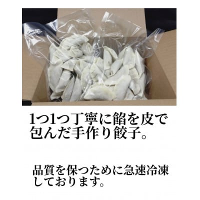 南洲軒の餃子　60個(30個入り×2袋)
