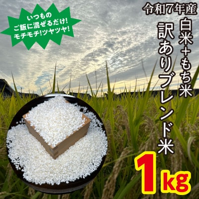 【訳アリ】うるち米+もち米ブレンド米【1kg】