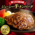 和泉市牛タンバーグ100g×6パック(冷凍)