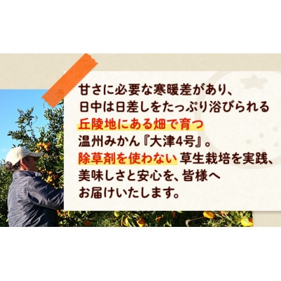 四季盛農園の本貯蔵 蔵出しみかん10Kg　【1月中旬頃から順次発送】
