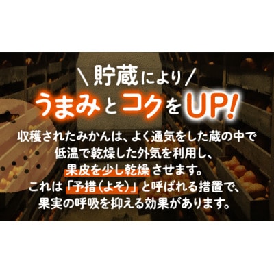 四季盛農園の本貯蔵 蔵出しみかん10Kg　【1月中旬頃から順次発送】