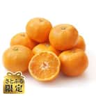 【さとふる限定】先行予約　大阪府和泉市産 宮川早生 和泉みかん 1ケース10Kg 11月中頃より発送