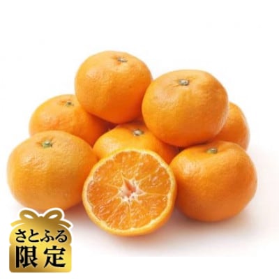 【さとふる限定】先行予約　大阪府和泉市産 宮川早生 和泉みかん 1ケース10Kg 11月中頃より発送